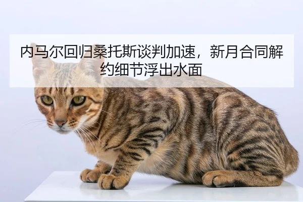 nei-ma-er-hui-gui-sang-tuo-si-tan-pan-jia-su-xin-yue-he-tong-jie-yue-xi-jie-fu-chu-shui-mian-2-261.jpg