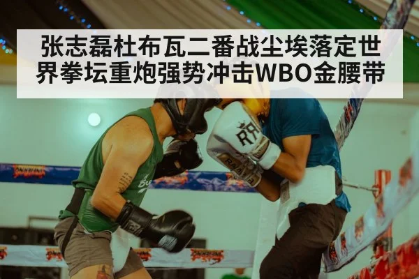 张志磊杜布瓦二番战尘埃落定世界拳坛重炮强势冲击WBO金腰带