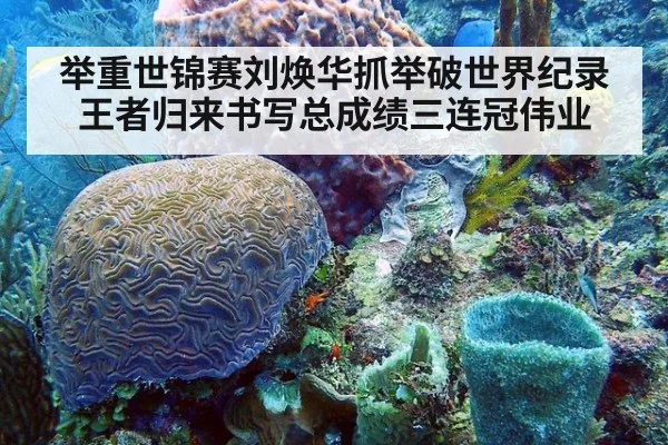 举重世锦赛刘焕华抓举破世界纪录王者归来书写总成绩三连冠伟业